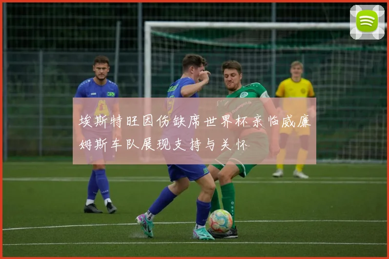 埃斯特旺因伤缺席世界杯亲临威廉姆斯车队展现支持与关怀